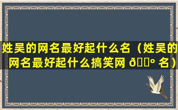 姓吴的网名最好起什么名（姓吴的网名最好起什么搞笑网 🌺 名）